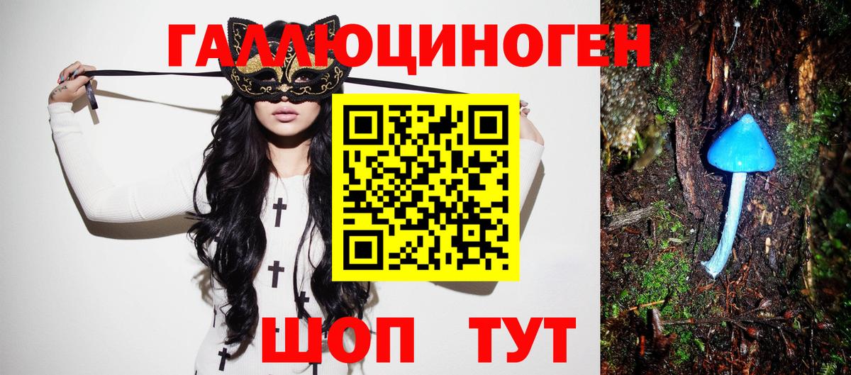 Псилоцибиновые грибы Psilocybine cubensis Кировск