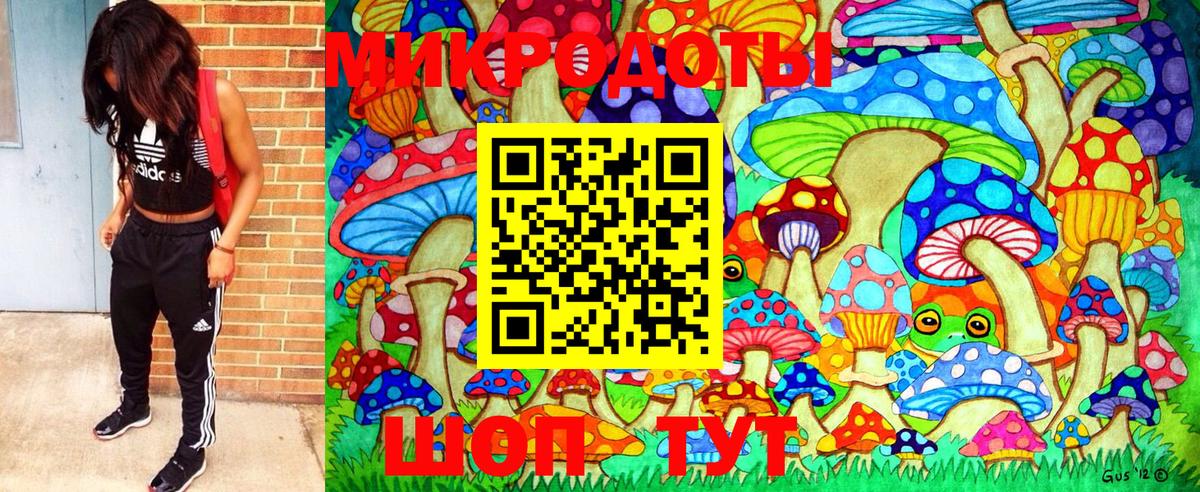 Кировск  купить наркоту  Вход с VPN  Галлюциногенные грибы Psilocybe 